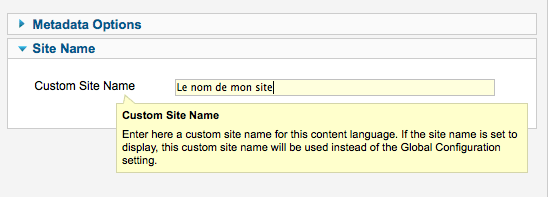 可為不同語言設定不同的網站名稱